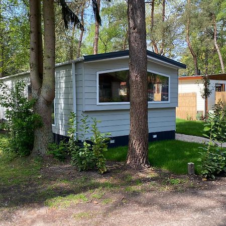 Chalet In De Veluwse Bossen Hoenderloo Exteriör bild
